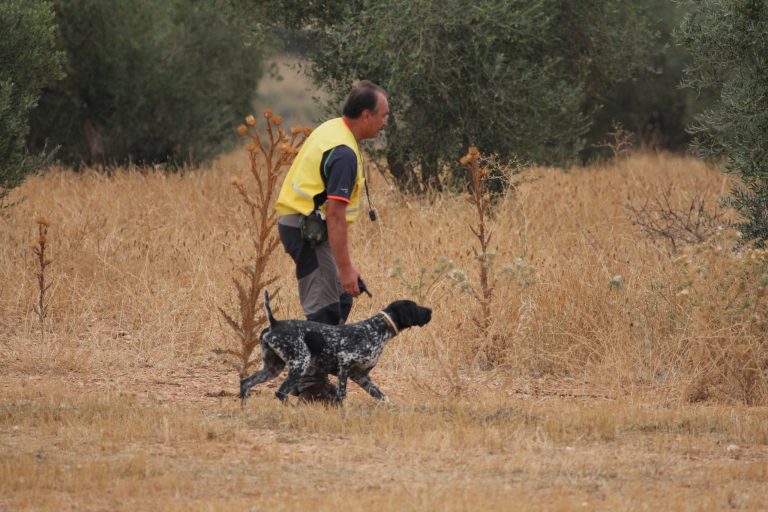 Curso jueces deportivos en las modalidades de Perros de Muestra y San Huberto