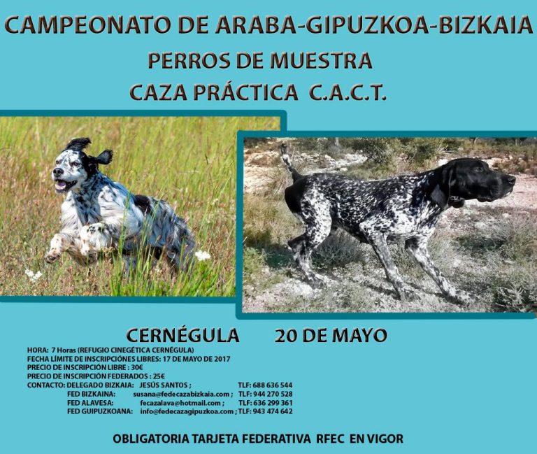 Campeonato De Bizkaia-Alava-Gipuzkoa De Perros De Muestra Caza Practica C.a.c.t
