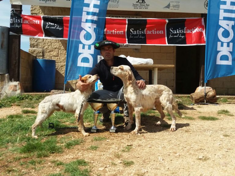 Clasificaciones Campeonato de Bizkaia de Perros de Muestra Caza Práctica C.A.C.T
