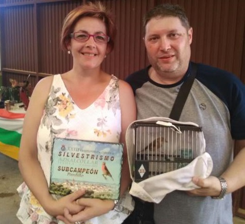 Campeonato de España de silvestrismo