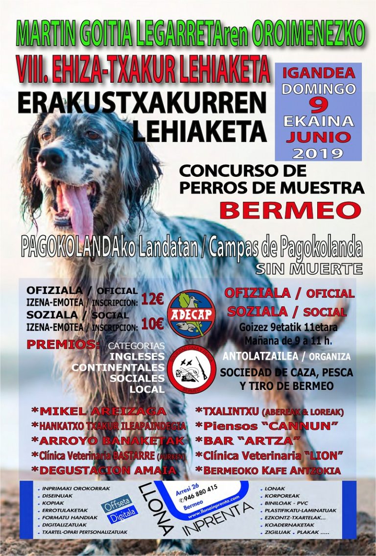 Concurso De Perros De Muestra De Bermeo. Memorial Martin Goitia Legarreta