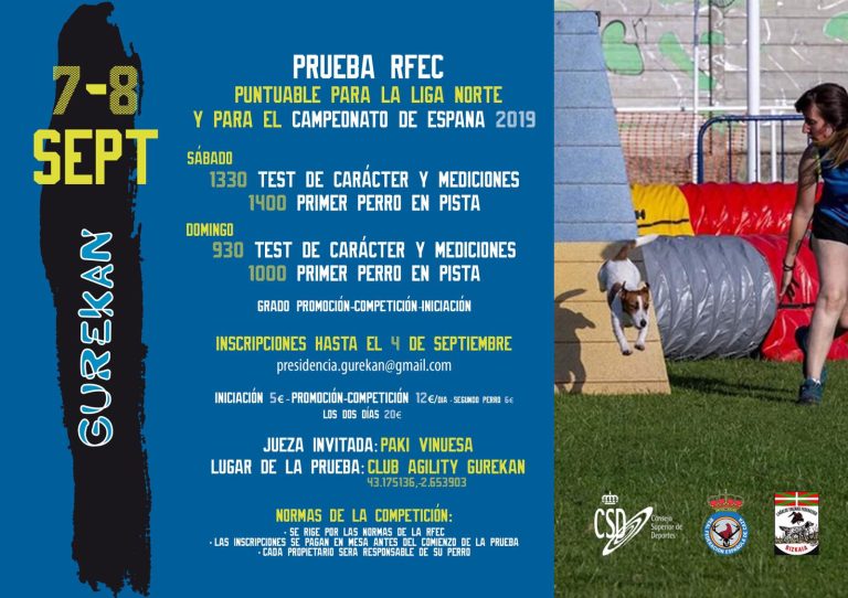 Agility. Prueba Puntuable Para La Liga Norte Y El Cpto De España De 2019