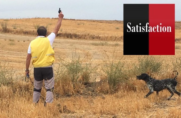 Premios Satisfaction
