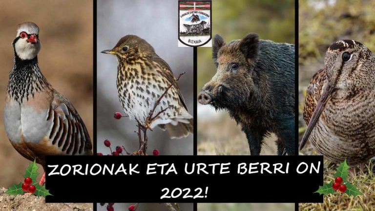 Zorionak Eta Urte Berri On!!!!!!!