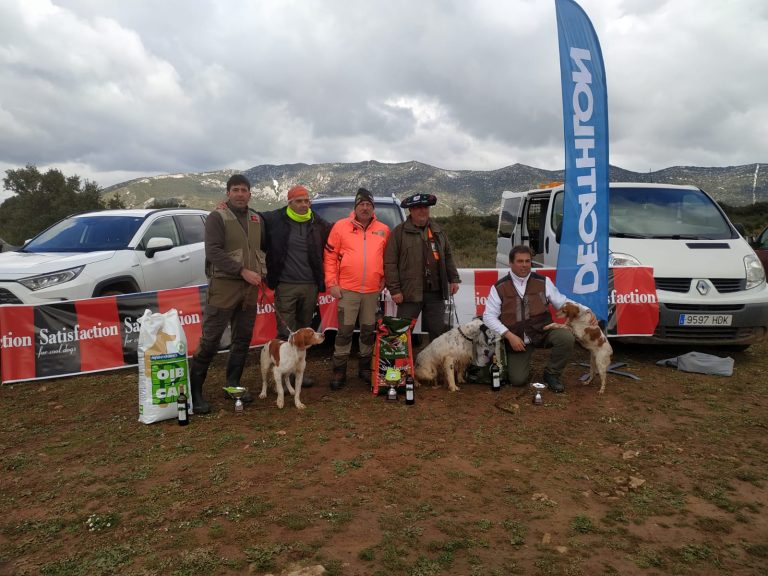 Campeonato De Bizkaia Perros De Muestra