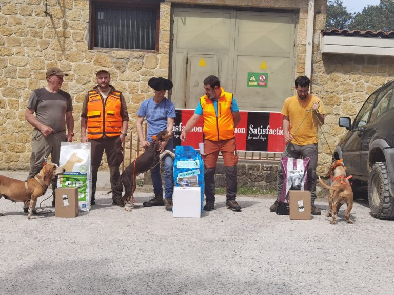 Resultados Campeonatos De Bizkaia Y De Euskadi Perros De Rastro Jabalí A Trailla
