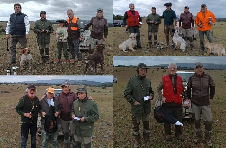 Resultados Del Campeonato De Bizkaia De Perros De Muestra