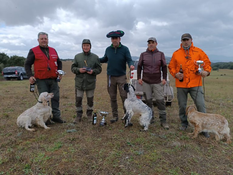 Campeonato De Bizkaia De Perros De Muestra 2023