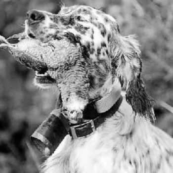 4180b5bf-63f6-4cd4-852d-ddd94b27349a_16-9-aspect-ratio_default_0