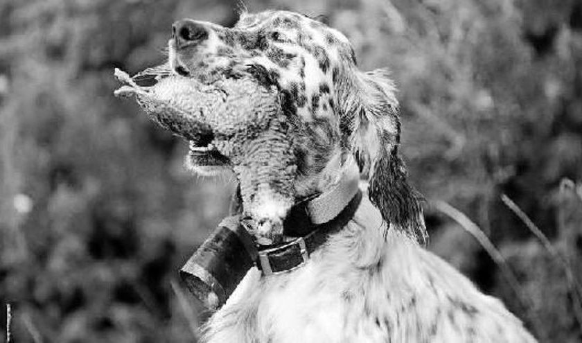 4180b5bf-63f6-4cd4-852d-ddd94b27349a_16-9-aspect-ratio_default_0