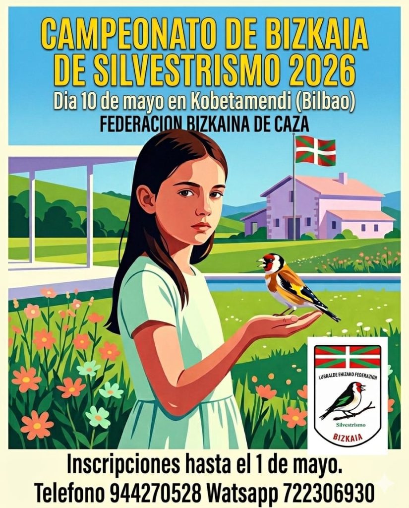Campeonato De Bizkaia De Silvestrismo 2026