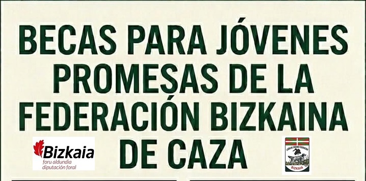 BECAS PARA JOVENES