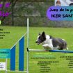 AGILITY 26