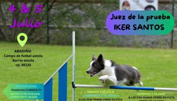 AGILITY 26