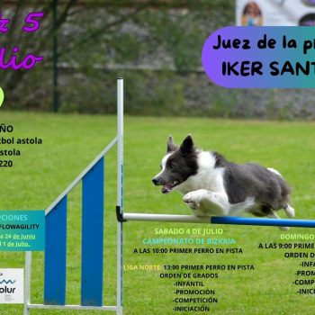 AGILITY 26