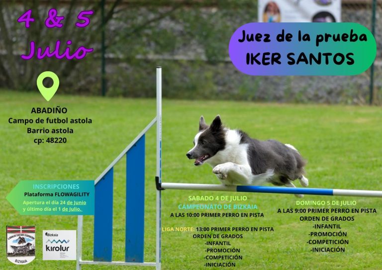 Campeonato De Bizkaia De Agility 2026