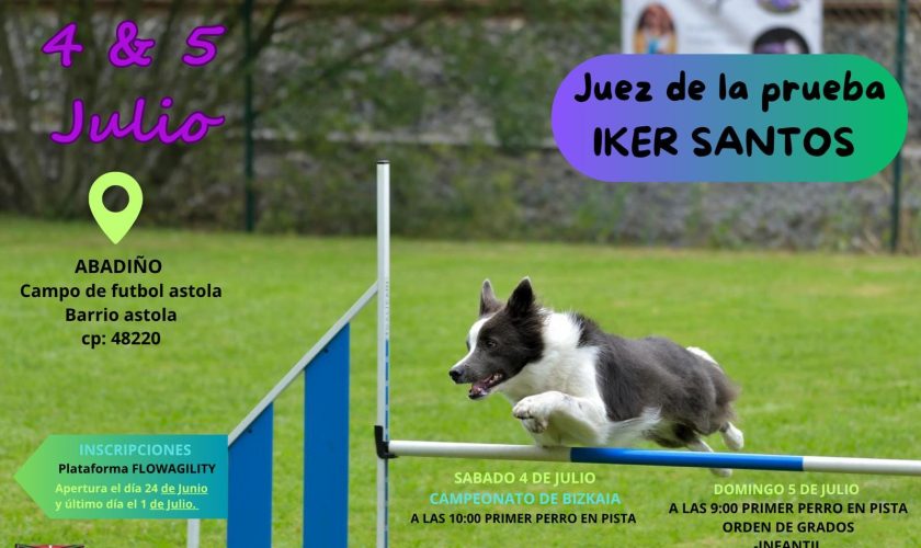 AGILITY 26